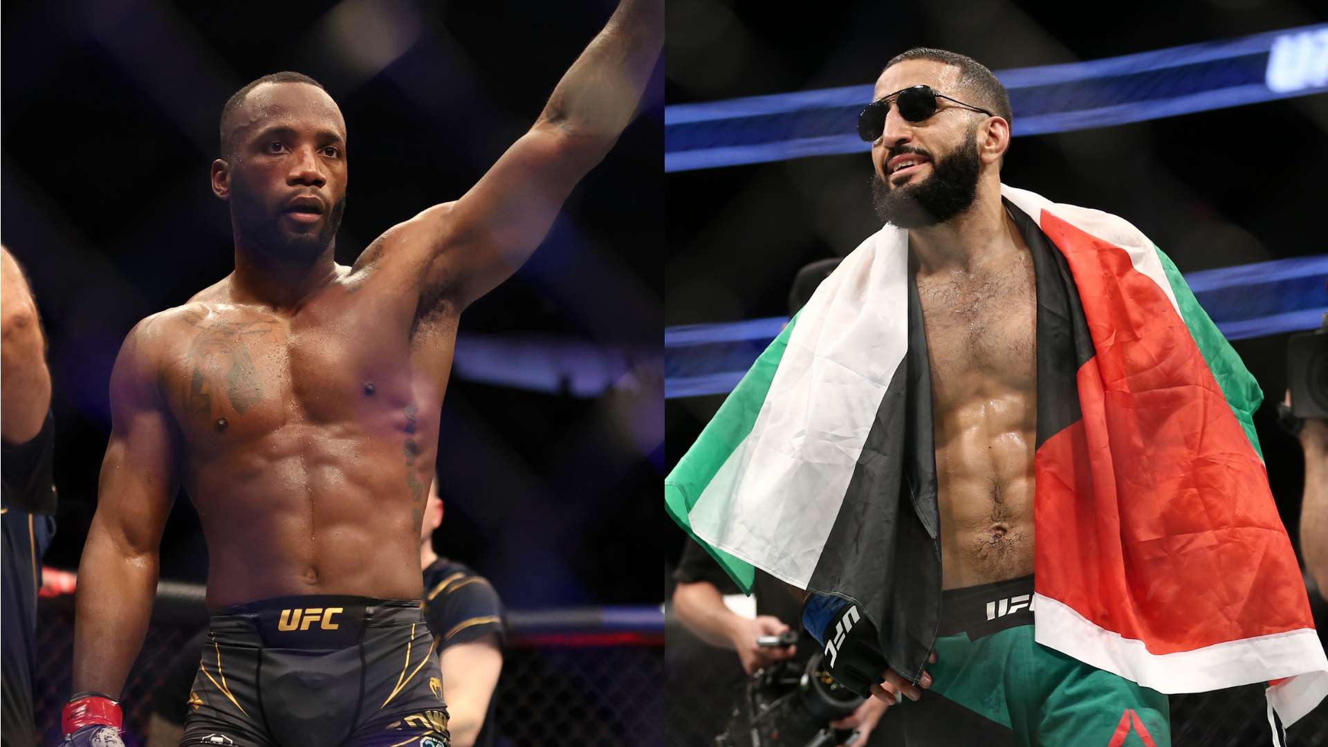 艳羡的外貌 艳羡的外貌