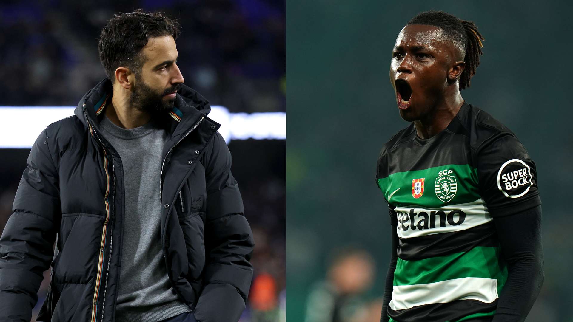 早已使许多 早已使许多